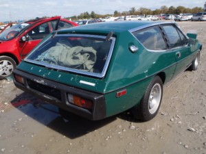 donated lotus to charity