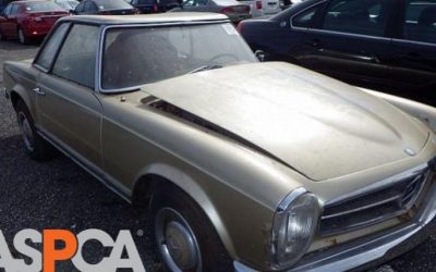 Unique Car Donation: 1967 Mercedes-Benz 250 SL Donated to the ASPCA