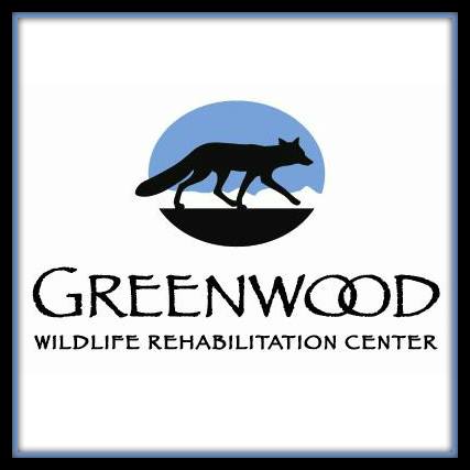 greenwood, car donation, donate a car, donating your car, car donations