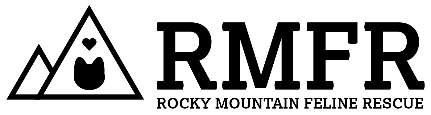 New Charity Partner Rocky Mountain Feline Rescue