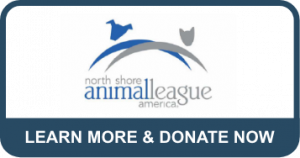 North Shore Animal League America car donation