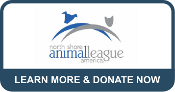 North Shore Animal League America car donation