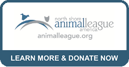 animal league car donation