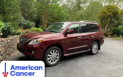 Top 5 Grossing Cars of 2019