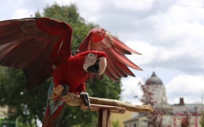 Wildlife Matters – World Environment Day