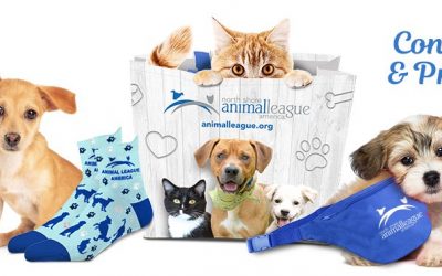 Virtual Walk and Wag 2020