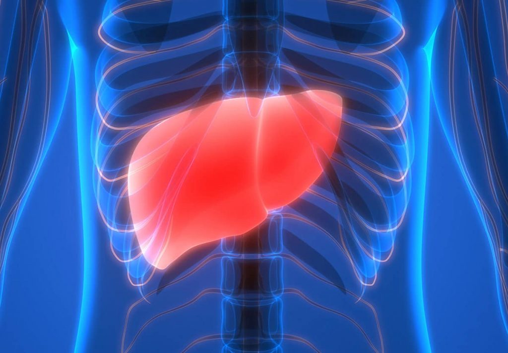 National Liver Awareness Month