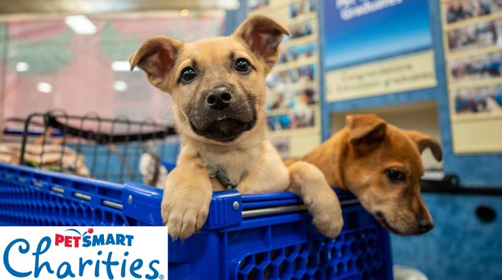 petsmart charities