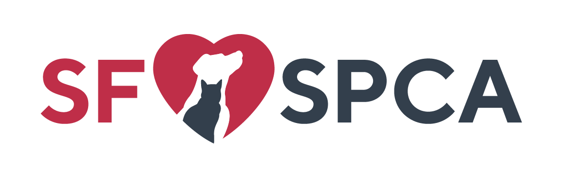 Special Olympics