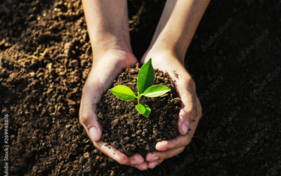 How to Celebrate Earth Day 2023