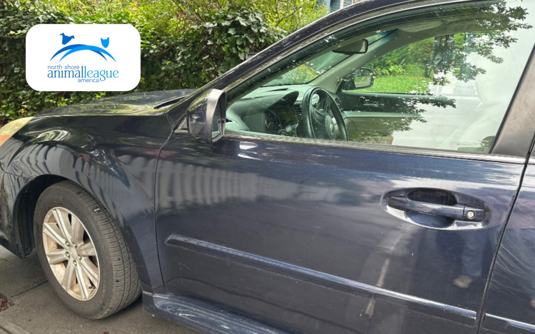 2012 Subaru Legacy Donated to North Shore Animal League America
