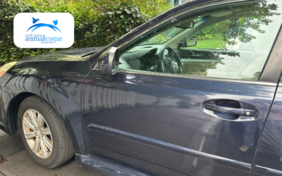 2012 Subaru Legacy Donated to North Shore Animal League America