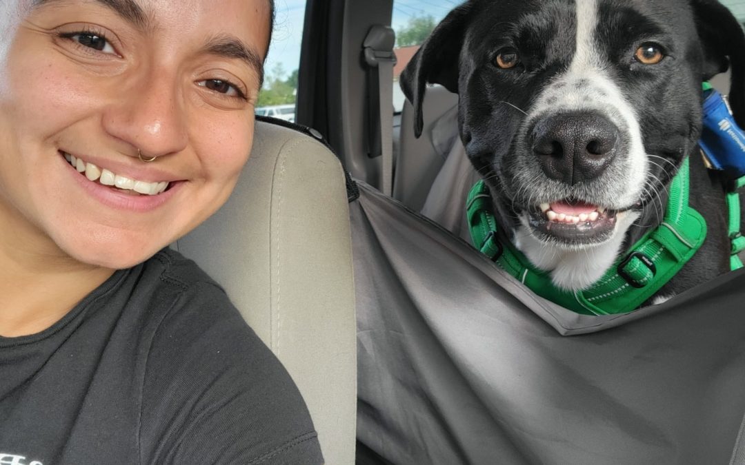 Ashley’s 2005 Jeep Liberty Donated to North Shore Animal League America