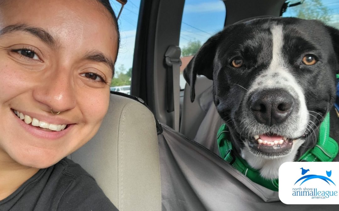 2005 Jeep Liberty Donated to North Shore Animal League America