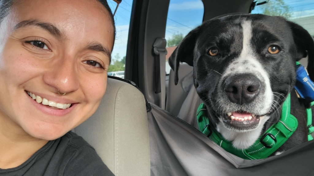 North Shore Animal League Car Donations