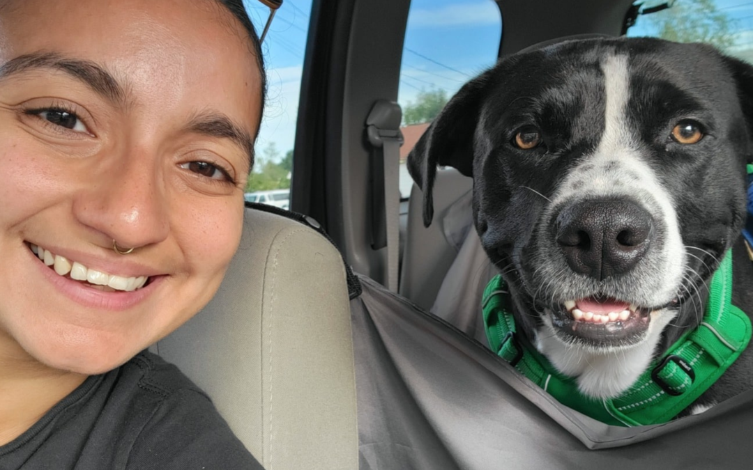 Support No-Kill Animal Rescue This February by Donating Your Car to North Shore Animal League America