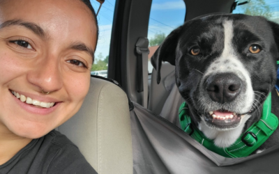 Support No-Kill Animal Rescue This February by Donating Your Car to North Shore Animal League America
