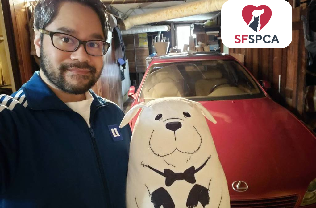 Support Animal Welfare in San Francisco by Donating Your Car to SF SPCA