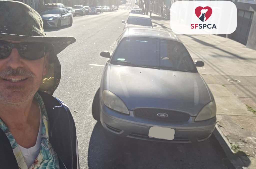 Stephen’s 2005 Ford Taurus Donated to SFSPCA