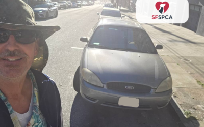 Stephen’s 2005 Ford Taurus Donated to SFSPCA